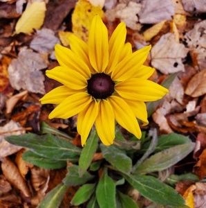 Meet your Posher, Jaclyn